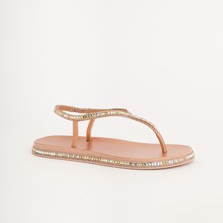 Papete Luz Anatômica - ROSE