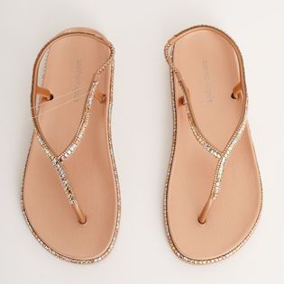 Papete Luz Anatômica - ROSE