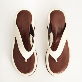 Plataforma Maia - COTTON
